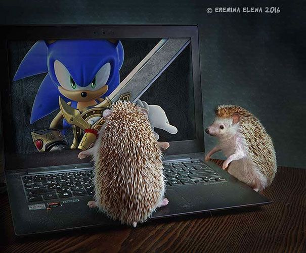 Image
