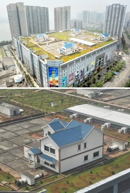 Amazing Constructions Built On Rooftops
