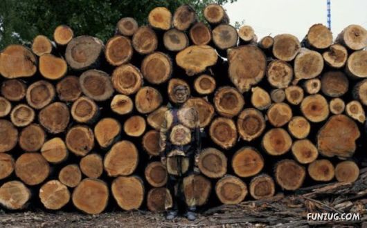 Invisible Man Human Camouflage Art by Lio Bolin