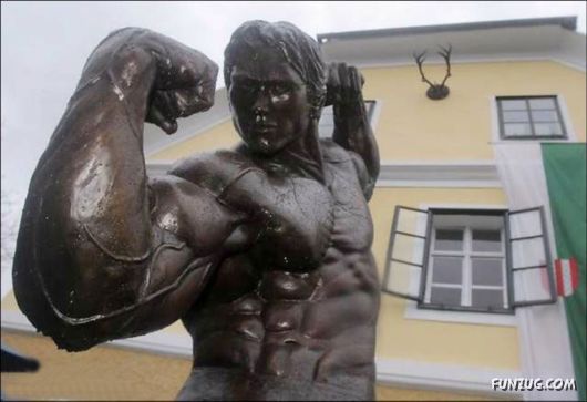 The Schwarzenegger Museum