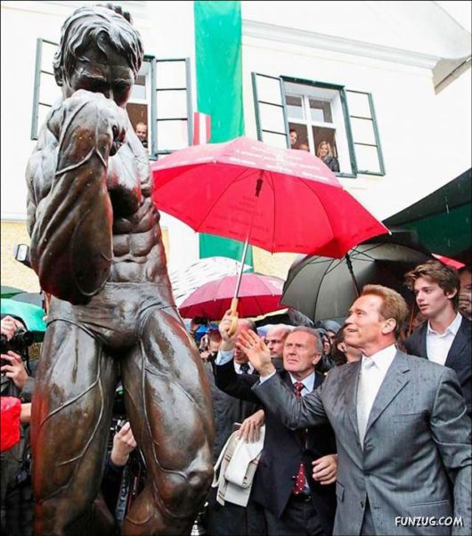 The Schwarzenegger Museum