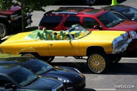 Wheels Of The Weird Crazy Pictures