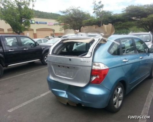 Wheels Of The Weird Crazy Pictures