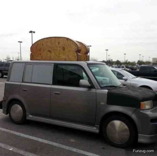 Wheels Of The Weird Crazy Pictures