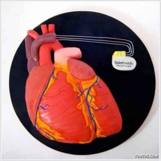 Unusual And Creative Cakes