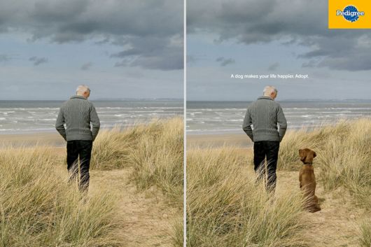 Powerful and Creative Print Ads