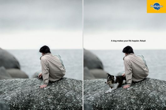 Powerful and Creative Print Ads