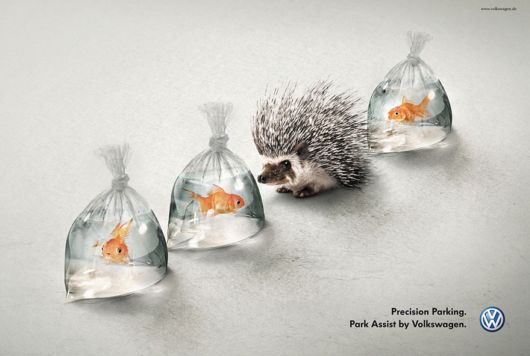 Powerful and Creative Print Ads