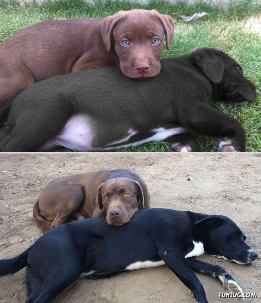 Then and Now - Comparing the Past with the Present