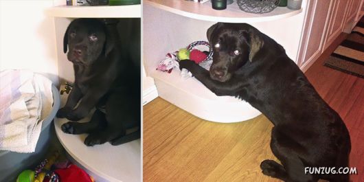 Then and Now - Comparing the Past with the Present