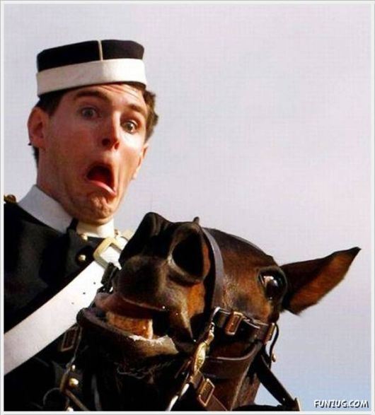 Cool Funny Pictures Of The Day