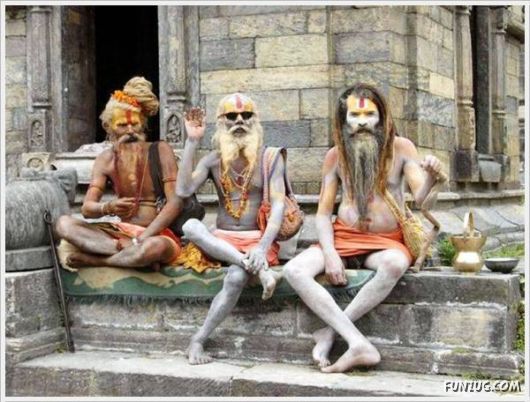 Cool Funny Pictures Of The Day