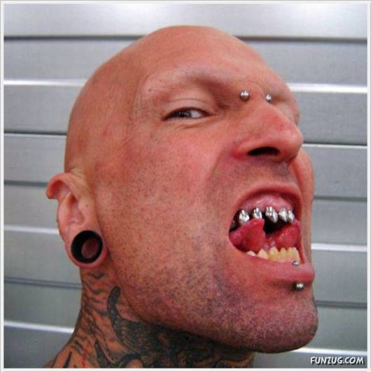 Cool Funny Pictures Of The Day