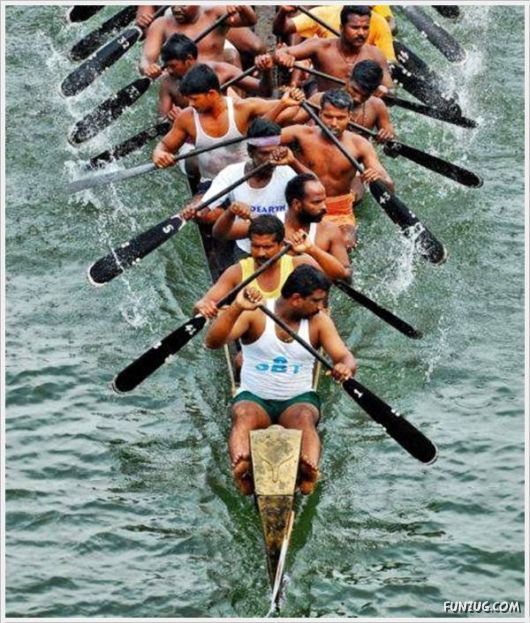 Cool Funny Pictures Of The Day