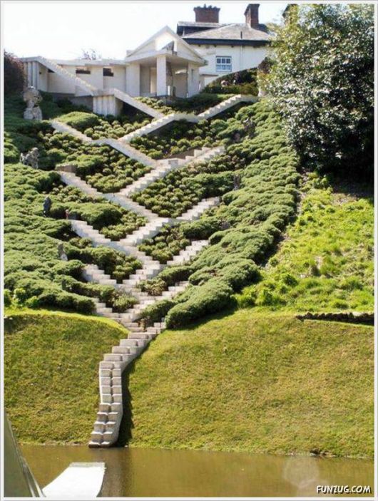 Cool Funny Pictures Of The Day