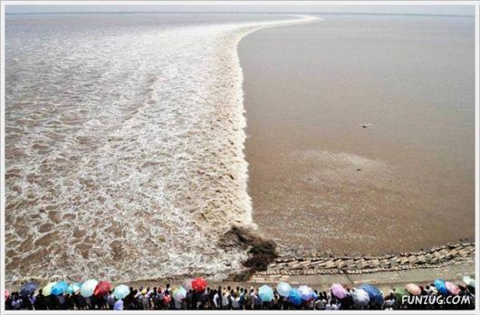 Cool Funny Pictures Of The Day