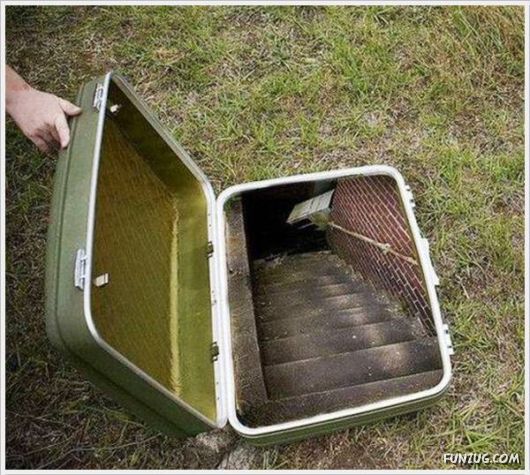 Cool Funny Pictures Of The Day