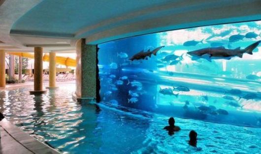 Crazy Fun Pix Dump Of The Week