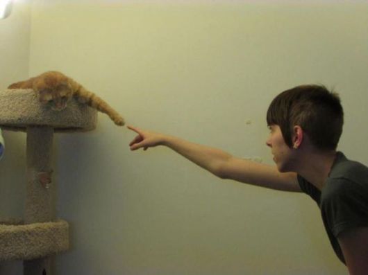 Crazy Fun Pix Dump Of The Week