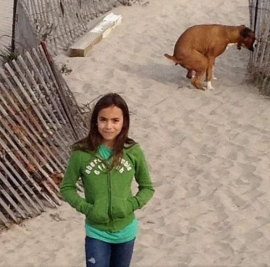 Crazy Fun Pix Dump Of The Week