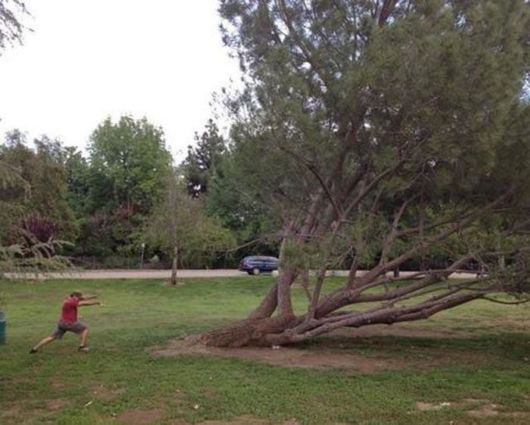 Crazy Fun Pix Dump Of The Week