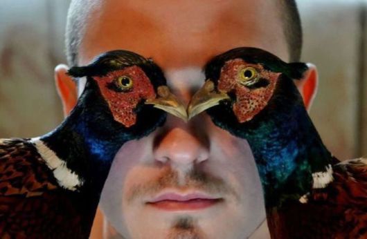 Crazy Fun Pix Dump Of The Week