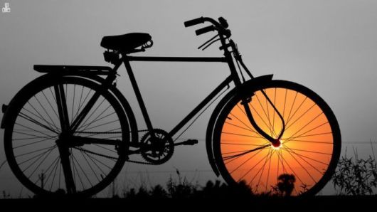 Crazy Fun Pix Dump Of The Week