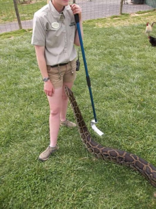 Crazy Fun Pix Dump Of The Week