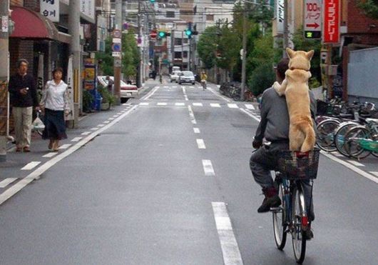 Fun Cool Pictures Of The Week