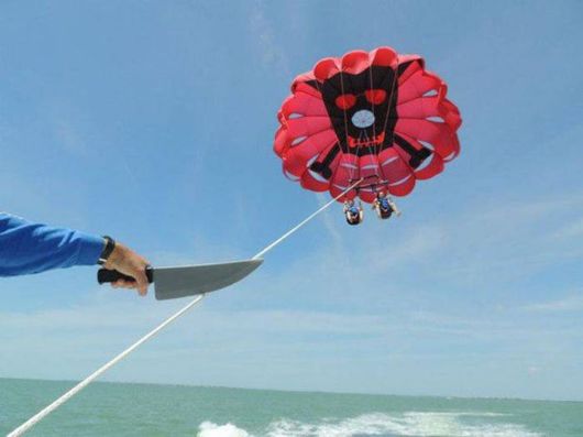 Fun Cool Pictures Of The Week