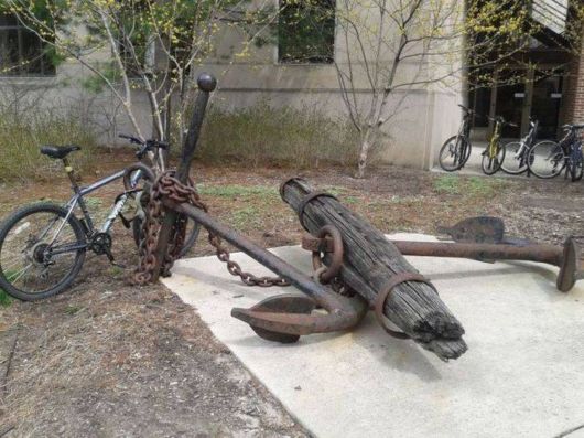 Fun Cool Pictures Of The Week