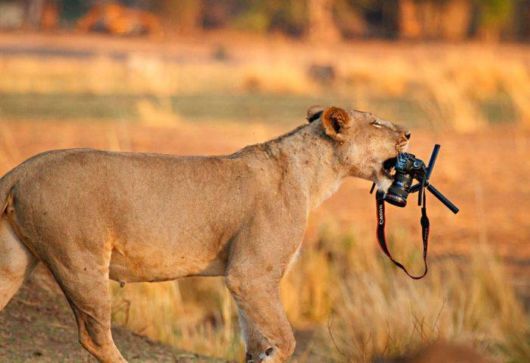 Fun Cool Pictures Of The Week