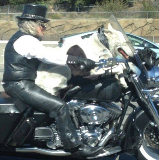 Fun Cool Pictures Of The Week