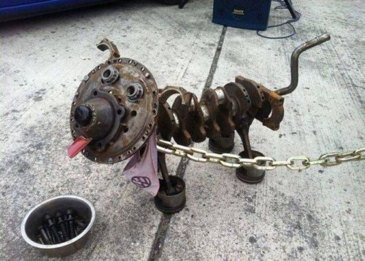 Fun Cool Pictures Of The Week