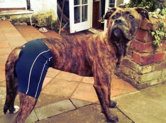 Fun Cool Pictures Of The Week