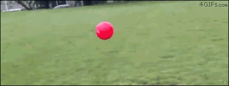 Gifs You Want To See After A Hard Days Work