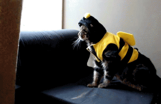 Gifs You Want To See After A Hard Days Work