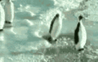 Gifs You Want To See After A Hard Days Work