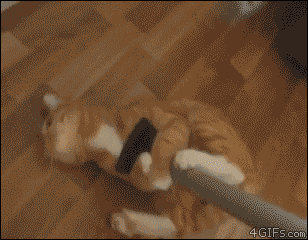 Gifs You Want To See After A Hard Days Work