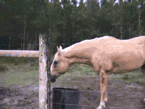 Gifs You Want To See After A Hard Days Work