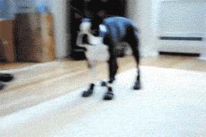 Gifs You Want To See After A Hard Days Work