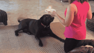 Gifs You Want To See After A Hard Days Work