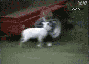 Gifs You Want To See After A Hard Days Work