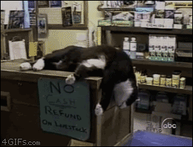 Gifs You Want To See After A Hard Days Work