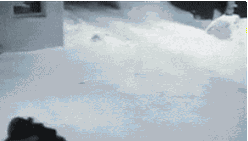 Gifs You Want To See After A Hard Days Work