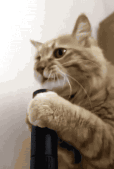 Gifs You Want To See After A Hard Days Work