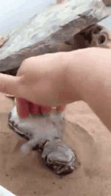 Gifs You Want To See After A Hard Days Work