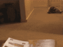 Gifs You Want To See After A Hard Days Work