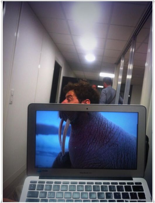 Funny Office Foto Bombing