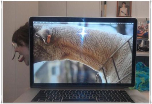 Funny Office Foto Bombing